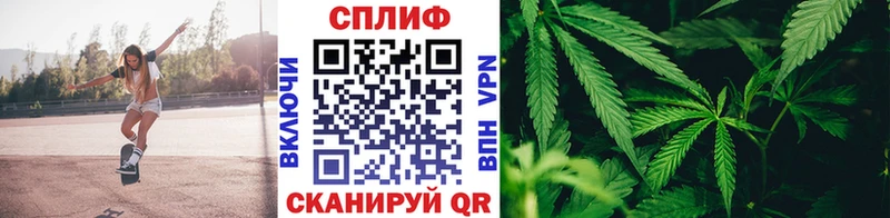 Где купить Муравленко ГАШ  Бошки Шишки  КЕТАМИН  МЕФ 