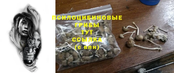 СК Алексин