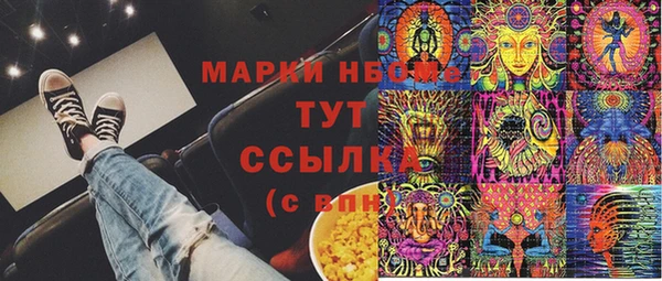СК Алексин
