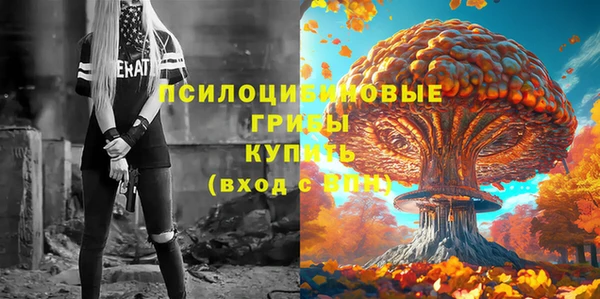 марки nbome Пролетарск